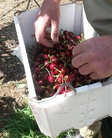 Mouat's Farm - Accommodation Guide 3