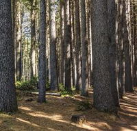 Sugarpine Walk - Accommodation Guide