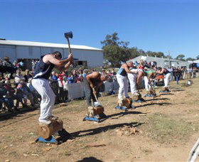 Quirindi Rural Heritage Village - Accommodation China 1