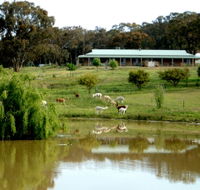 Clearview Alpacas - Accommodation Asia