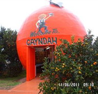 Gayndahs Big Orange - Accommodation Asia