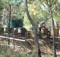 7 Oaks Sapphire Fossicking - Accommodation Asia