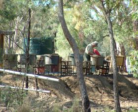 7 Oaks Sapphire Fossicking - Accommodation Asia 0