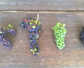 Dromana Estate - Accommodation Guide 1