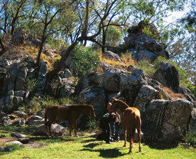  Accommodation Guide