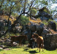 Coomba Falls - Accommodation Asia