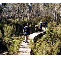 Hume and Hovell Walking Track - Henry Angel Trackhead - Accommodation Guide