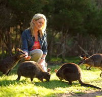 Moonlit Sanctuary Wildlife Conservation Park - Accommodation Asia