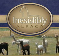 Marchmont Park Alpacas - Accommodation Asia