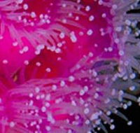 Yaringa Marine National Park - Accommodation Asia