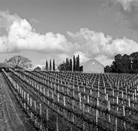 Willow Creek Vineyard - Accommodation Asia