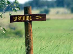 Wooroolin QLD Accommodation China