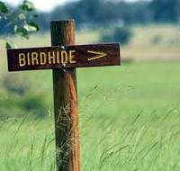 Wooroolin Wetland - Accommodation China