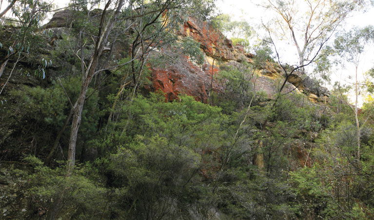 Newnes Plateau NSW Accommodation Asia