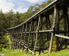 Noojee VIC Accommodation Guide