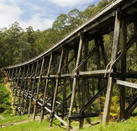 Noojee Trestle Bridge - Accommodation Guide