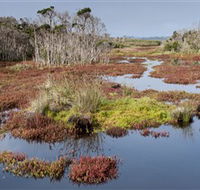 French Island National Park - Accommodation Asia