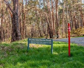 Lobs Hole Ravine 4WD Trail - Accommodation Guide 0