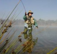 Lake Wallace - Accommodation Guide