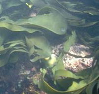 Churchill Island Marine National Park - Accommodation Guide