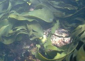 Churchill Island Marine National Park - Accommodation China 0