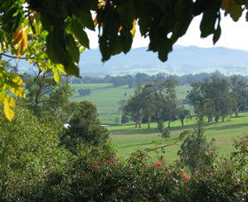 Brandy Creek Wines & View Cafe - Accommodation Guide 5