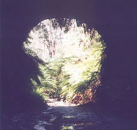 Glow Worm Tunnel - Accommodation Asia