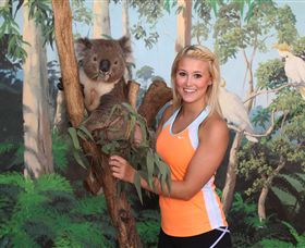 Maru Koala And Animal Park - Accommodation Asia 0