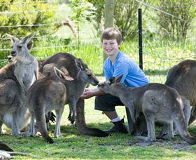 Maru Koala And Animal Park - Accommodation Asia 4