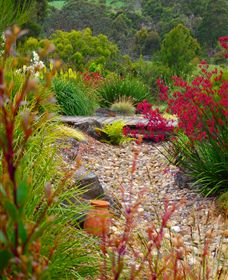 Ungulla Country Garden - Accommodation Guide 1