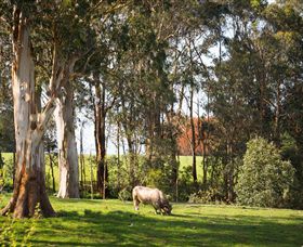 Ungulla Country Garden - Accommodation Guide 8