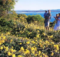 Joseph Banks Conservation Park - Accommodation Guide