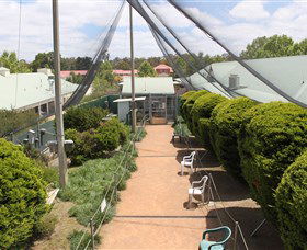 Canberra Walk In Aviary - Accommodation Asia 2