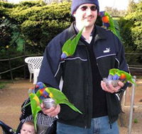 Canberra Walk In Aviary - Accommodation Asia