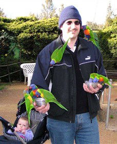 Canberra Walk In Aviary - Accommodation Asia 0