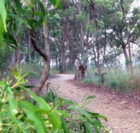 Mount Mutton Walking Trail - Accommodation Guide