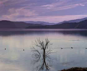Scone NSW Accommodation Asia