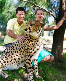 National Zoo & Aquarium - Accommodation Asia 0