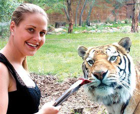 National Zoo & Aquarium - Accommodation Asia 1