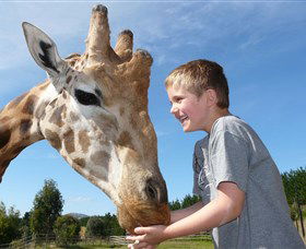 National Zoo & Aquarium - Accommodation Asia 3