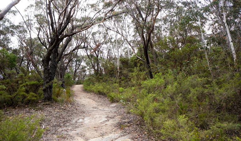 Newnes Plateau NSW Accommodation Asia