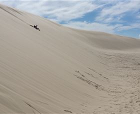 Sydney Private Guided Tours - Accommodation Asia 7