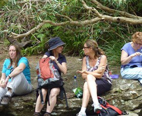 Dingo Tours - Accommodation China 1