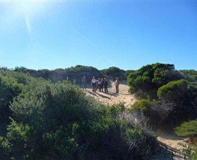 Dingo Tours - Accommodation China 7