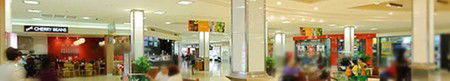 Ashfield Mall Shopping Centre - Accommodation Asia 1