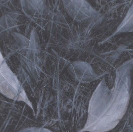 Gallery 110 Crystal - Accommodation China 1