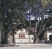 Rozelle Weekend Markets - Accommodation Asia