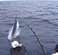 Amokura Charters - Accommodation Guide