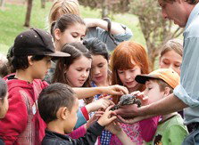 Blackbutt Reserve - Accommodation China 2