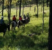 Hunter Valley Horse Riding and Adventures - Accommodation Asia